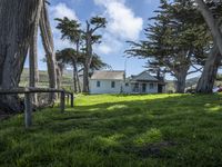 California's Green Space: Open Lawns and Trees