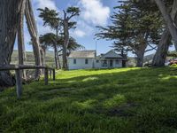 California's Green Space: Open Lawns and Trees