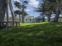 California's Green Space: Open Lawns and Trees