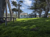 California's Green Space: Open Lawns and Trees