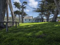 California's Green Space: Open Lawns and Trees