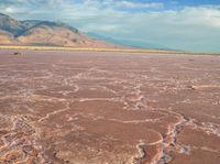 a very red desert plain with a hill in the distance to it and a person standing by on it