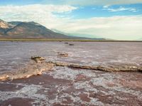 a large area of pink water with mountains in the background in the foreground and a log sticking out from the water