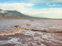 a large area of pink water with mountains in the background in the foreground and a log sticking out from the water