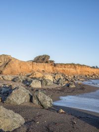 a grassy field by the shore and a cliff with rocks in the ocean in the background