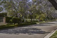 a neighborhood lined with trimmed hedges and trees with a blue sky in the background and a line of shrubs to the side of the road on