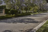 a neighborhood lined with trimmed hedges and trees with a blue sky in the background and a line of shrubs to the side of the road on