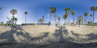 a beach with palm trees, sand and blue skies in the distance in this 360 - view