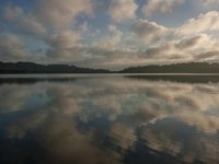 a calm lake with some clouds on it and a tree in the distance with the sky reflected in the water