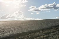 a cow grazes on a rocky mountain side with the sun behind it and an overcast sky