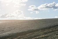 a cow grazes on a rocky mountain side with the sun behind it and an overcast sky