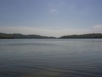 the small boat is on the calm water near the land in a lake with trees