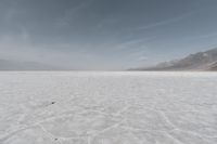 the vast expanse of the desert is clean and ready for the next wave of water