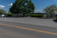 two trees are in the background, near a roadway on a sunny day the road and grass are very low