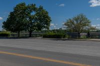 two trees are in the background, near a roadway on a sunny day the road and grass are very low