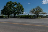 two trees are in the background, near a roadway on a sunny day the road and grass are very low