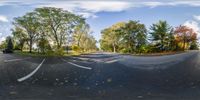 the view from a spherical point - at lens captures a beautiful road with trees and shrubs along side