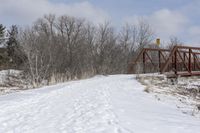 Bridge in Canada: Snowy Suburban Landscape