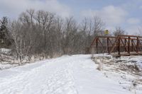 Bridge in Canada: Snowy Suburban Landscape