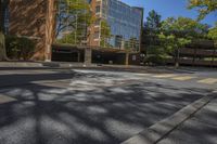 an empty intersection with a large building in the background with reflection of a leafy tree