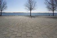 Canada's Coastal Waters: Toronto Landscape