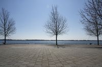 Canada's Coastal Waters: Toronto Landscape