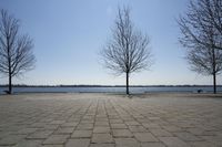 Canada's Coastal Waters: Toronto Landscape