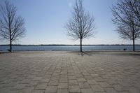 Canada's Coastal Waters: Toronto Landscape