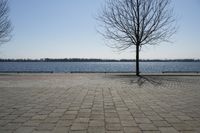 Canada's Coastal Waters: Toronto Landscape