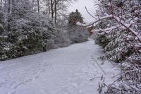 Canada at Dawn: A Snow Covered Road in the Landscape