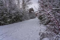 Canada at Dawn: A Snow Covered Road in the Landscape