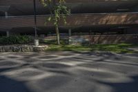 a tree in a parking lot near a building with large windows and two cars behind it