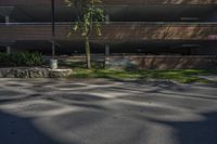 a tree in a parking lot near a building with large windows and two cars behind it