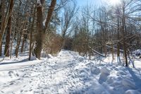 Canada Day: Snowy Road in Toronto