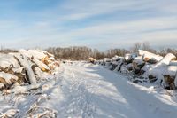 a view of snow covered ground, and piles of wood on the other side of a road