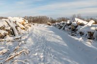 a view of snow covered ground, and piles of wood on the other side of a road