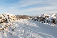 a view of snow covered ground, and piles of wood on the other side of a road