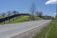 Canada Farm Landscape: Lush Green Vegetation on Display