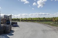 Canada Farmland Fields under Clear Sky 002