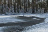 the road has two tires on the snow and a line of trees that is on top of a snowy hill