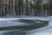 the road has two tires on the snow and a line of trees that is on top of a snowy hill