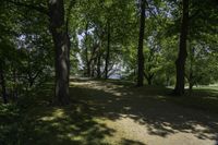 a view of an island with trees, grass and flowers and a lake in the distance