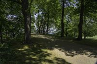 a view of an island with trees, grass and flowers and a lake in the distance