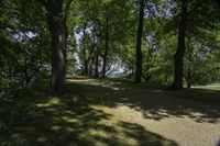 a view of an island with trees, grass and flowers and a lake in the distance