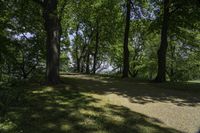 a view of an island with trees, grass and flowers and a lake in the distance