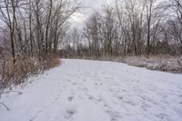 Canada Forest Road: Off-Road Track through the Forest