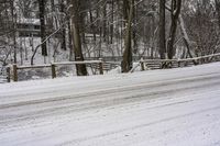 Canada Forest Road with Snow Covered Trees