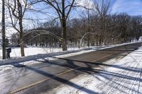 road near the forest and park during winter time on snow covered path with a large shadow of leafless trees