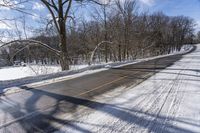 road near the forest and park during winter time on snow covered path with a large shadow of leafless trees