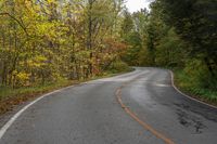 this is an image of an empty road in the woods with trees on both sides